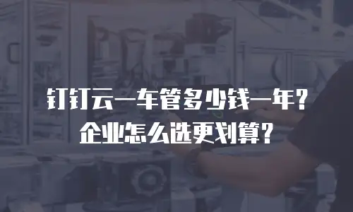钉钉云一车管多少钱一年？企业怎么选更划算？