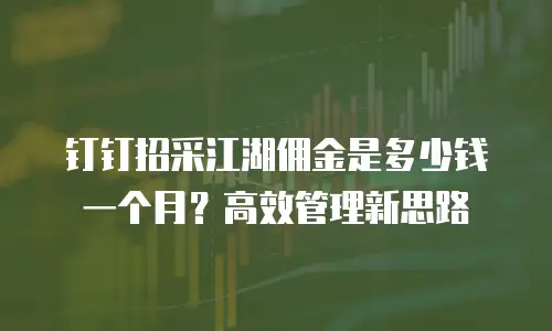 钉钉招采江湖佣金是多少钱一个月？高效管理新思路