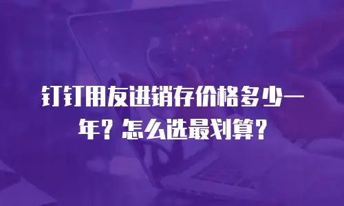 钉钉用友进销存价格多少一年？怎么选最划算？