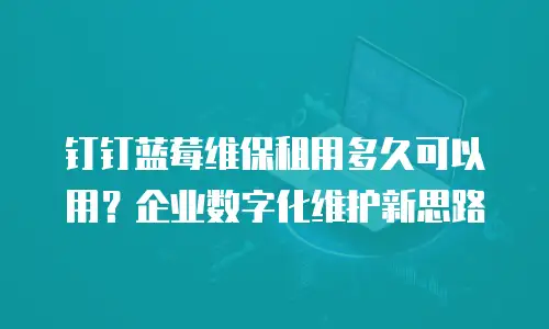 钉钉蓝莓维保租用多久可以用？企业数字化维护新思路