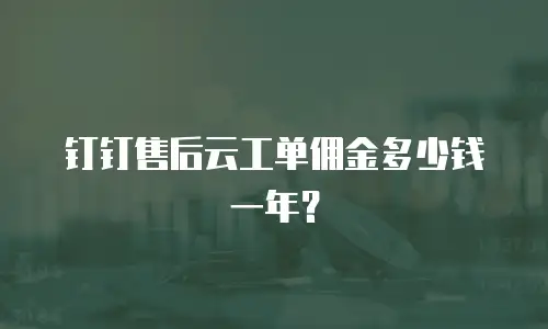 钉钉售后云工单佣金多少钱一年？