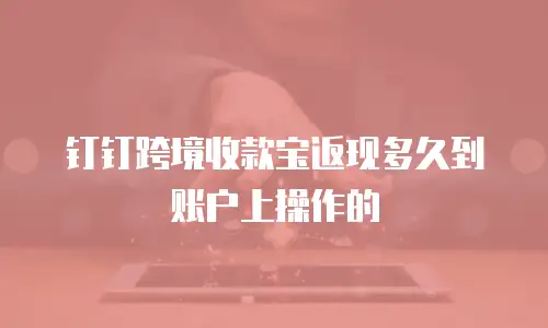 钉钉跨境收款宝返现多久到账户上操作的