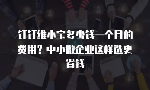 钉钉维小宝多少钱一个月的费用？中小微企业这样选更省钱