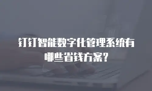 钉钉智能数字化管理系统有哪些省钱方案？