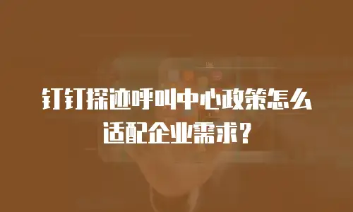 钉钉探迹呼叫中心政策怎么适配企业需求？