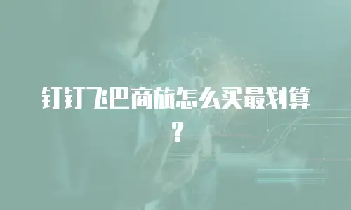 钉钉飞巴商旅怎么买最划算？