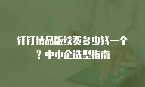 钉钉精品版续费多少钱一个？中小企选型指南