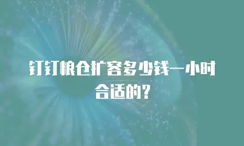 钉钉粮仓扩容多少钱一小时合适的？
