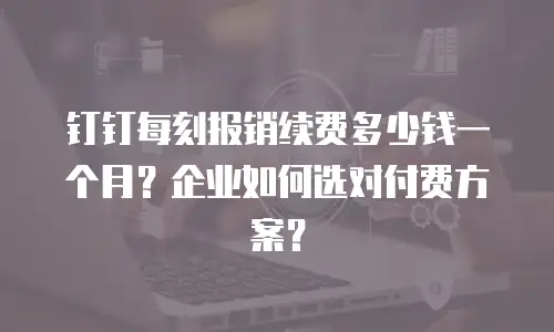 钉钉每刻报销续费多少钱一个月？企业如何选对付费方案？
