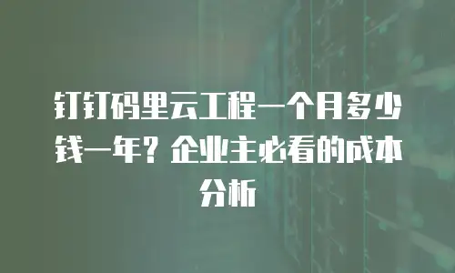 钉钉码里云工程一个月多少钱一年？企业主必看的成本分析