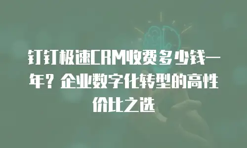 钉钉极速CRM收费多少钱一年？企业数字化转型的高性价比之选