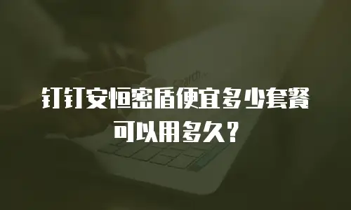 钉钉安恒密盾便宜多少套餐可以用多久？