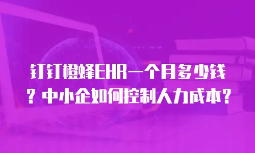 钉钉橙蜂EHR一个月多少钱？中小企如何控制人力成本？
