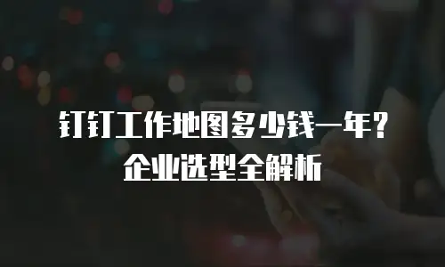 钉钉工作地图多少钱一年？企业选型全解析
