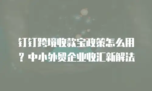 钉钉跨境收款宝政策怎么用？中小外贸企业收汇新解法