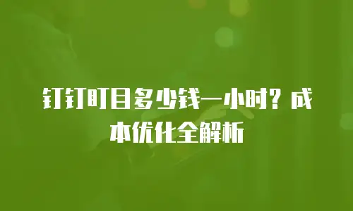 钉钉盯目多少钱一小时？成本优化全解析