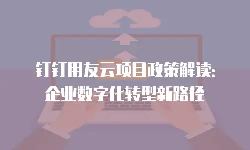 钉钉用友云项目政策解读：企业数字化转型新路径
