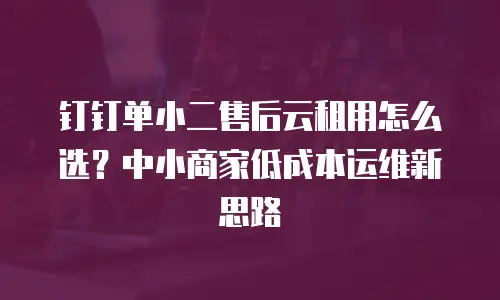 钉钉单小二售后云租用怎么选？中小商家低成本运维新思路