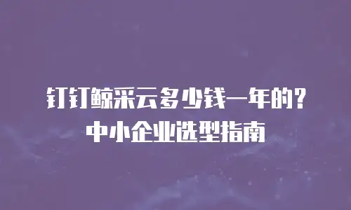 钉钉鲸采云多少钱一年的？中小企业选型指南