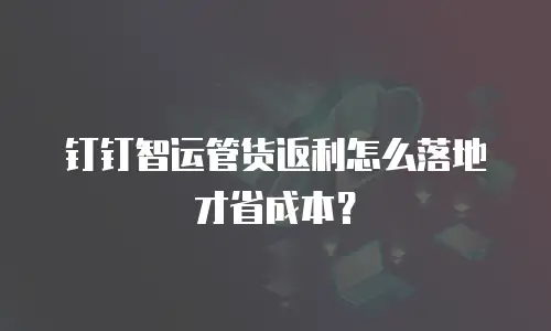 钉钉智运管货返利怎么落地才省成本？