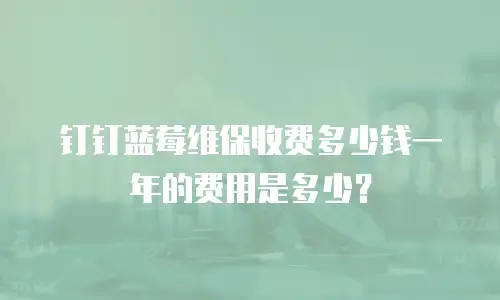 钉钉蓝莓维保收费多少钱一年的费用是多少？
