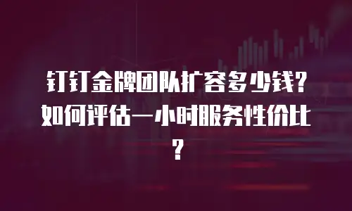 钉钉金牌团队扩容多少钱？如何评估一小时服务性价比？