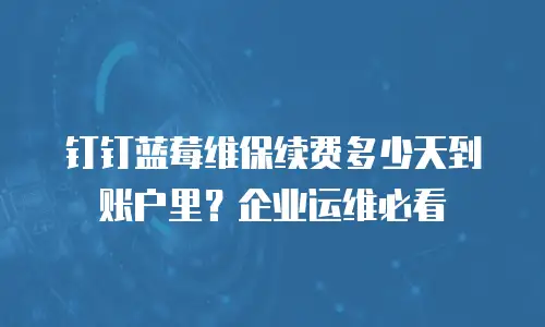 钉钉蓝莓维保续费多少天到账户里？企业运维必看