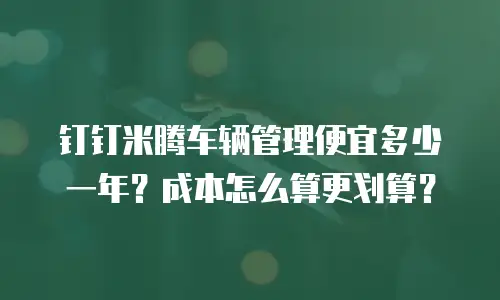 钉钉米腾车辆管理便宜多少一年？成本怎么算更划算？