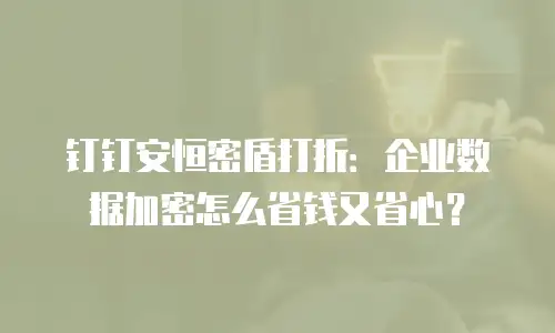 钉钉安恒密盾打折：企业数据加密怎么省钱又省心？