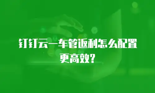 钉钉云一车管返利怎么配置更高效？