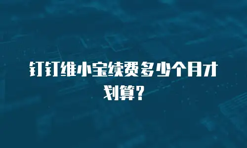 钉钉维小宝续费多少个月才划算？