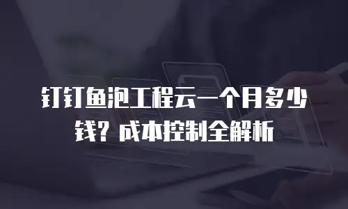 钉钉鱼泡工程云一个月多少钱？成本控制全解析