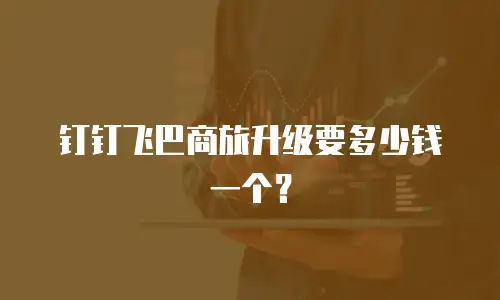 钉钉飞巴商旅升级要多少钱一个？