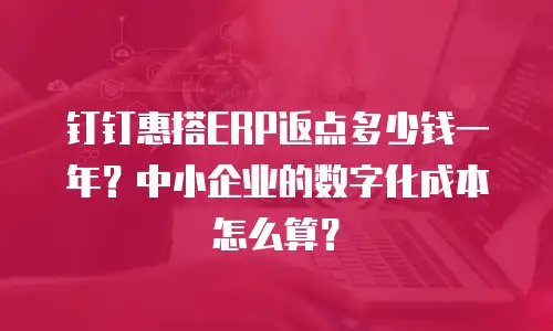 钉钉惠搭ERP返点多少钱一年？中小企业的数字化成本怎么算？