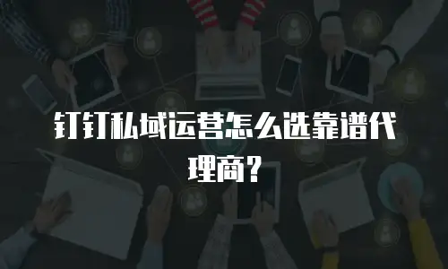 钉钉私域运营怎么选靠谱代理商？