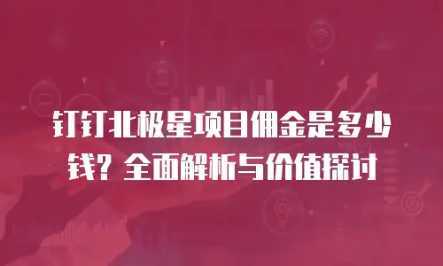 钉钉北极星项目佣金是多少钱？全面解析与价值探讨