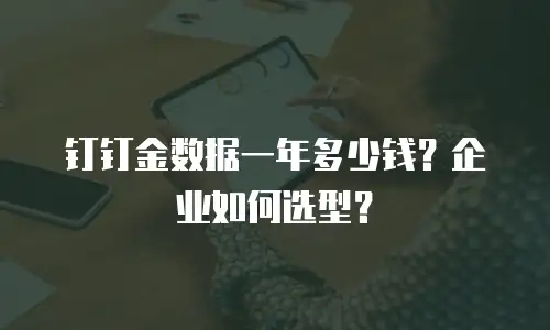 钉钉金数据一年多少钱？企业如何选型？