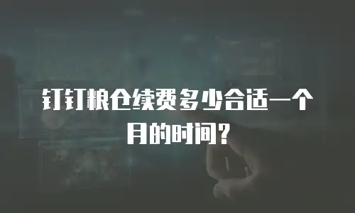 钉钉粮仓续费多少合适一个月的时间？