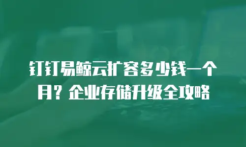钉钉易鲸云扩容多少钱一个月？企业存储升级全攻略