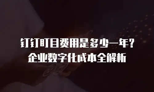 钉钉盯目费用是多少一年？企业数字化成本全解析