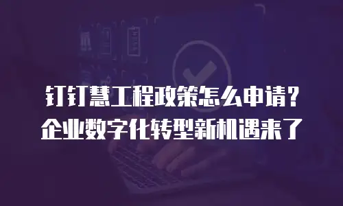 钉钉慧工程政策怎么申请？企业数字化转型新机遇来了