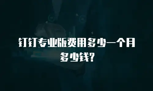 钉钉专业版费用多少一个月多少钱？
