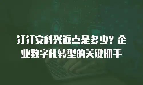 钉钉安科兴返点是多少？企业数字化转型的关键抓手