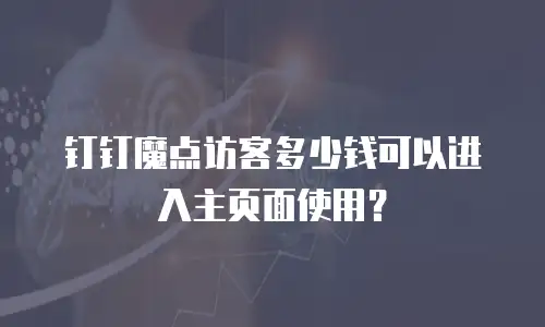 钉钉魔点访客多少钱可以进入主页面使用？