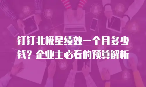 钉钉北极星绩效一个月多少钱？企业主必看的预算解析