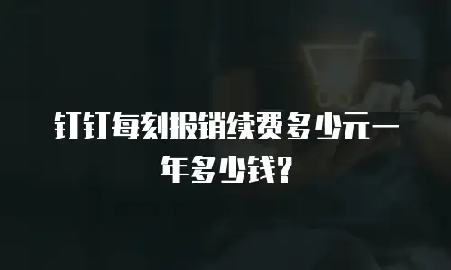 钉钉每刻报销续费多少元一年多少钱？