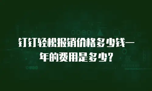 钉钉轻松报销价格多少钱一年的费用是多少？