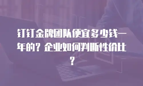 钉钉金牌团队便宜多少钱一年的？企业如何判断性价比？
