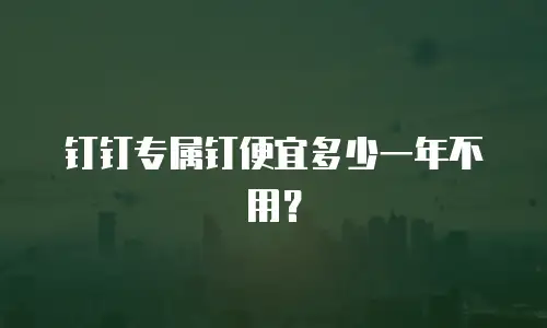 钉钉专属钉便宜多少一年不用？