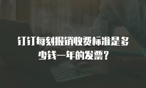 钉钉每刻报销收费标准是多少钱一年的发票？